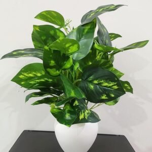 Natural Looking Artificial Money Plant/Tree with Pot | Ornamental Plant for Interior Decor | Home/Shop/Office Décor (Multicolour)